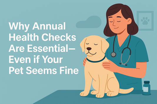 Why Annual Health Checks Are Essential—Even if Your Pet Seems Fine