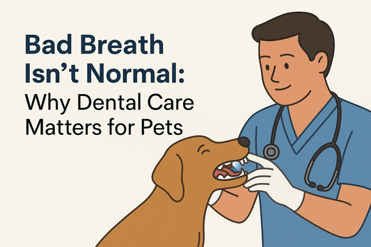 Bad Breath Isn’t Normal: Why Dental Care Matters for Pets