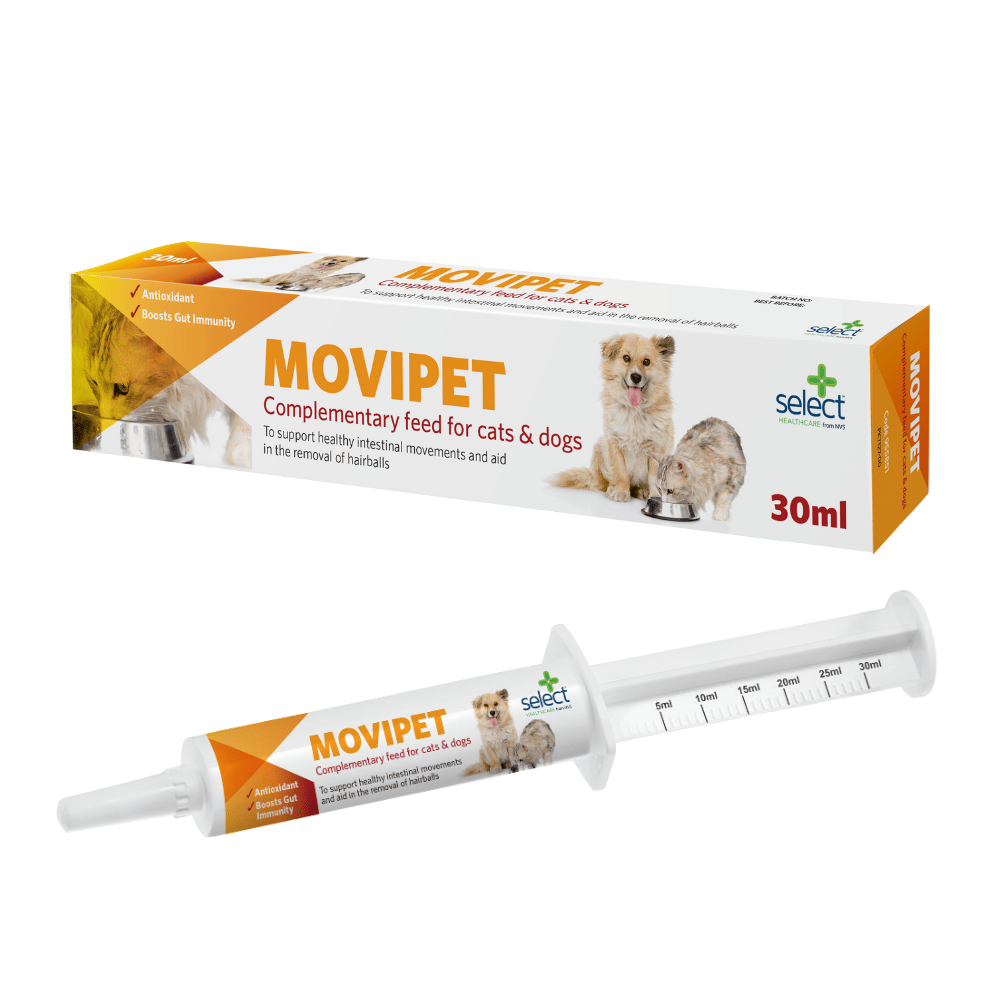 Movipet Intestinal Transit Support for Cats & Dogs — 30ml