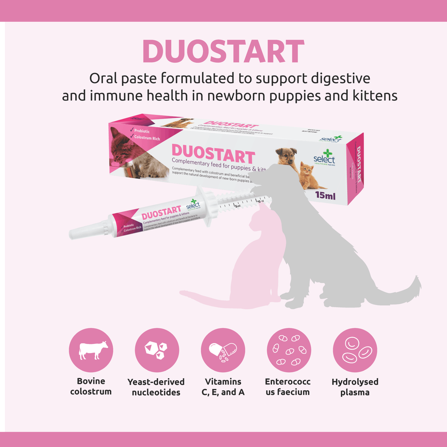 Duostart Probiotic Paste for Puppies & Kittens — 15ml