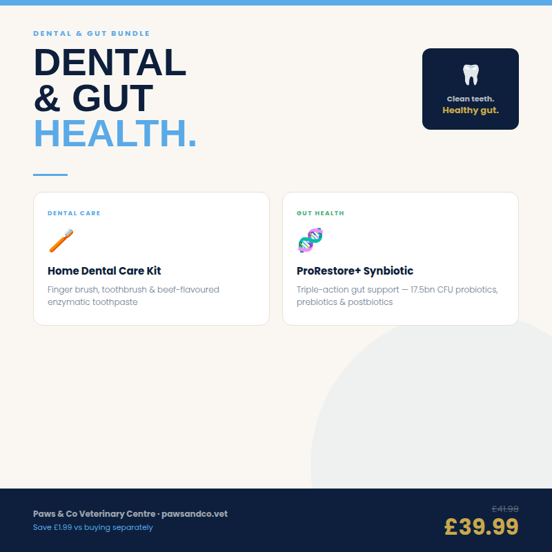 Dental & Gut Health Bundle for Dogs & Cats — Clean Teeth, Healthy Gut