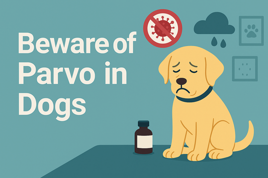 Canine Parvovirus (Parvo): What Every Dog Owner Should Know