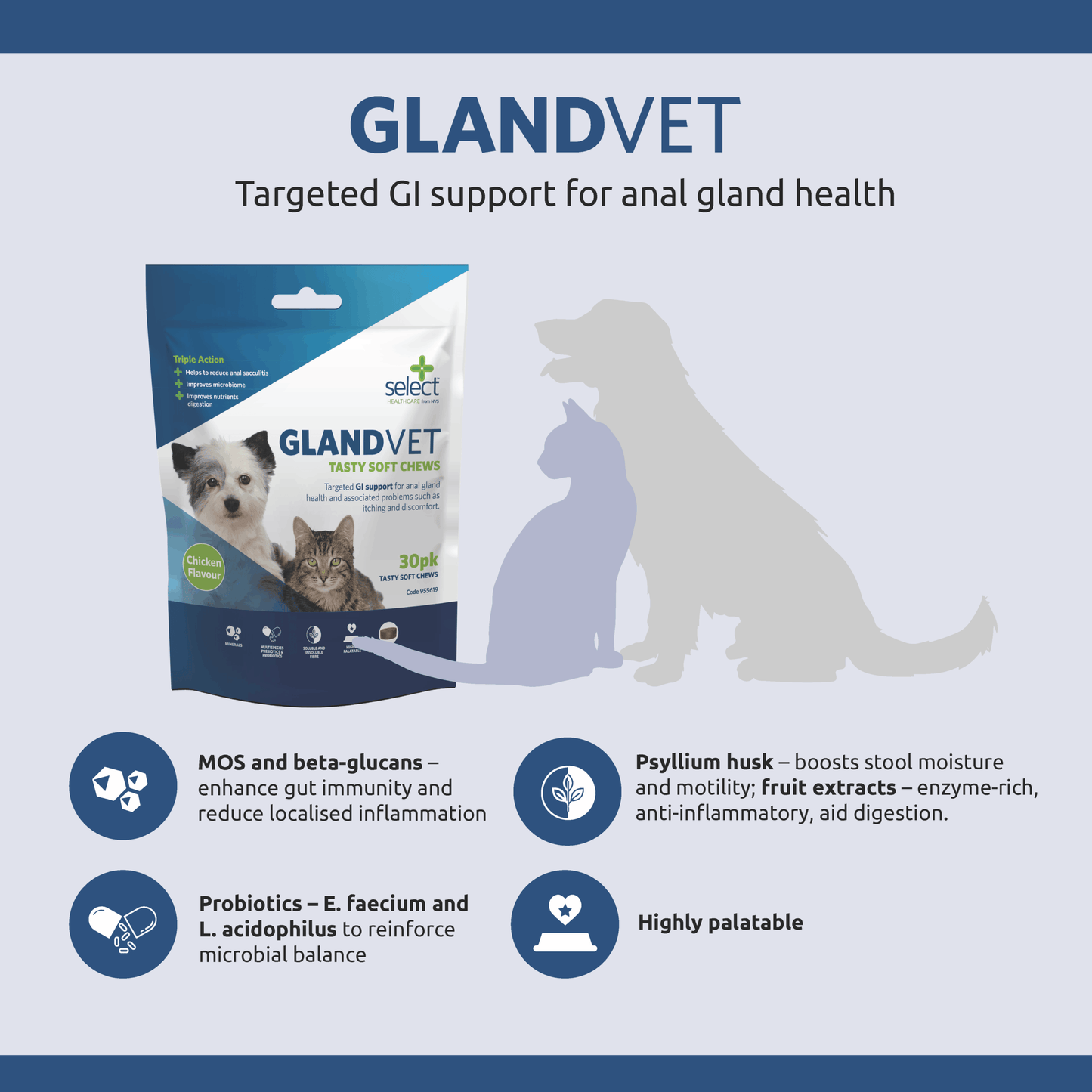 GlandVet - Tasty Soft Chews