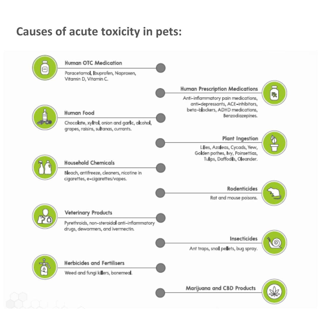 Duotox Dual Action Toxin Binder for Cats & Dogs