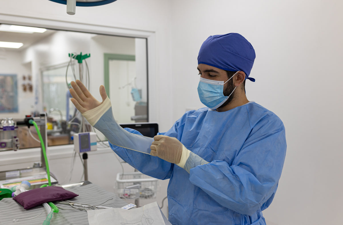 Surgery in the theatre suite at Paws & Co