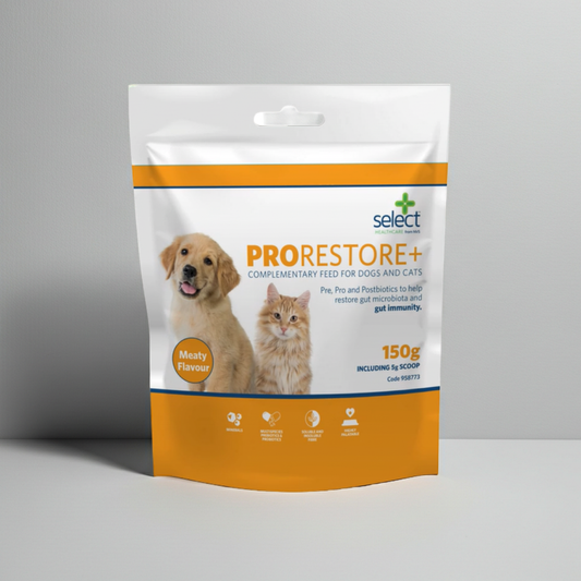 ProRestore+ pet food package with a dog and cat on the label against a gray background