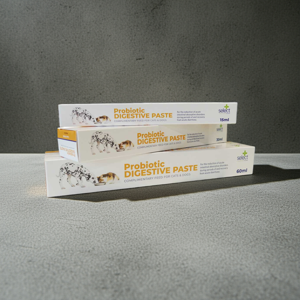 Stack of Probiotic Digestive Paste boxes on a gray surface with a dark background