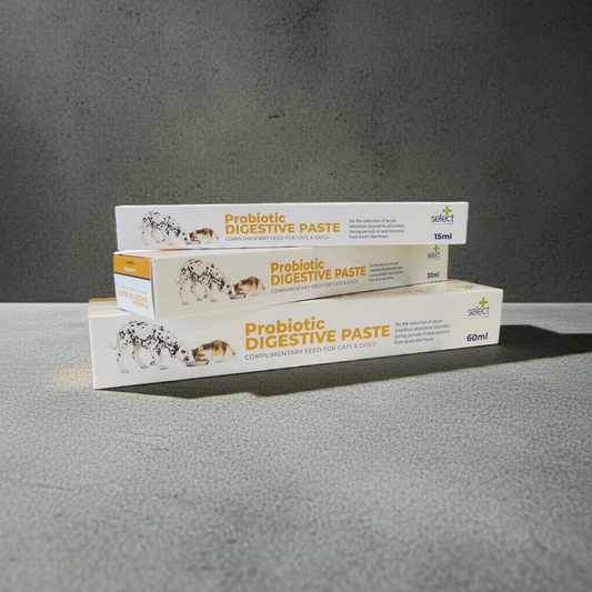 Stack of Probiotic Digestive Paste boxes on a gray surface with a dark background