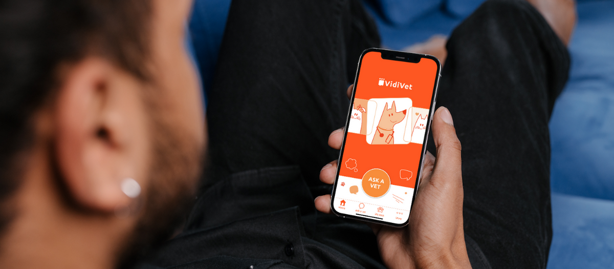 The VidiVet app on a phone
