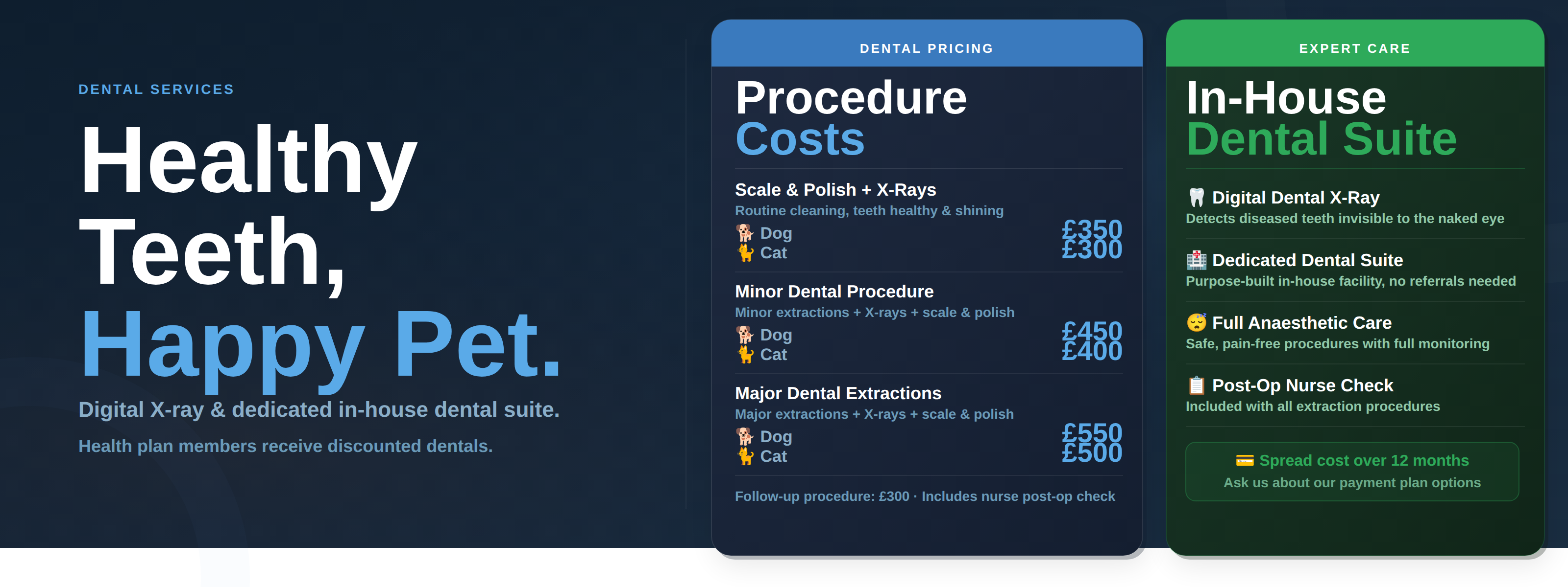 Paws & Co dental services banner - scale and polish from £300, minor procedures from £400, major extractions from £500, spread cost over 12 months