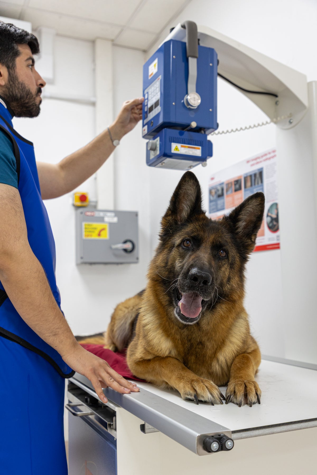 Digital x-ray at Paws & Co