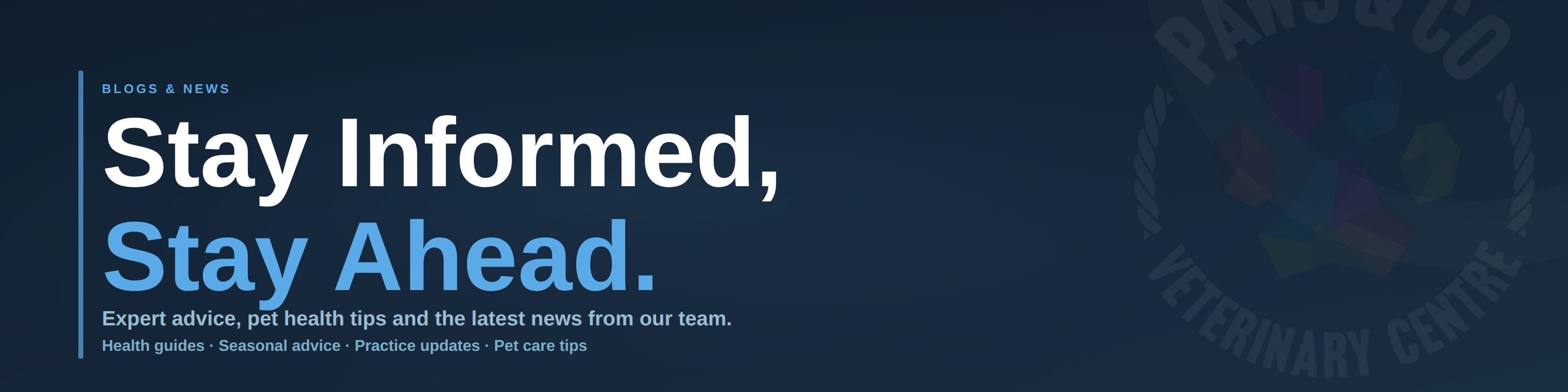 Paws & Co blogs and news banner - stay informed with expert pet health advice, seasonal guidance and practice updates from the team
