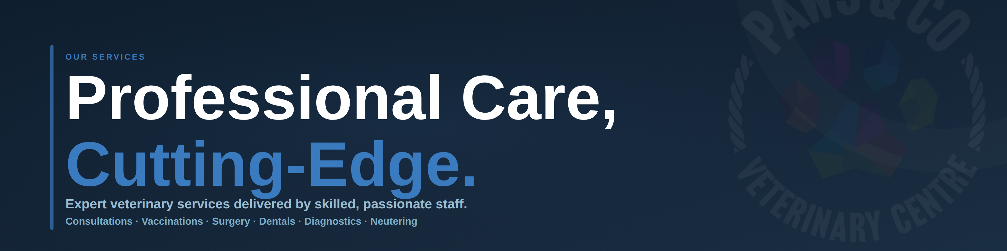 Paws & Co veterinary services banner - professional care with cutting-edge facilities, covering consultations, vaccinations, surgery, dentals, diagnostics and neutering