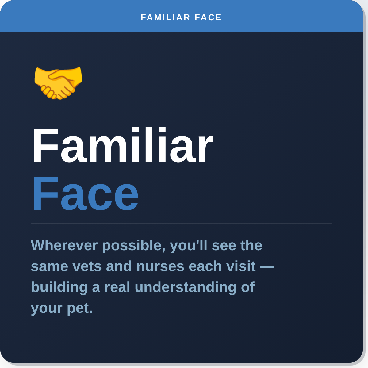 Familiar vet and nurse faces at Paws & Co - continuity of care for your pet in Tingley, West Yorkshire