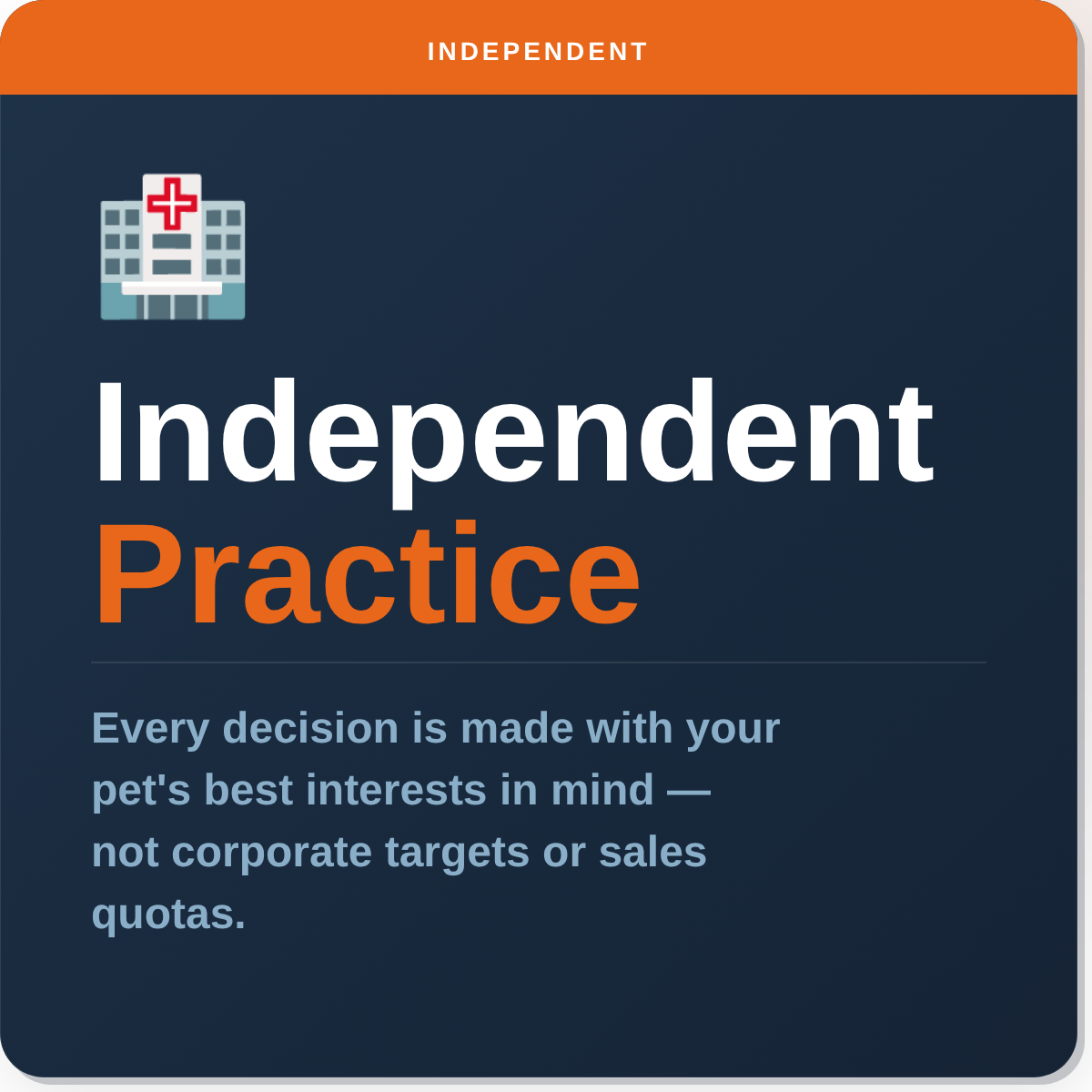 Independent veterinary practice in Leeds and Wakefield - decisions made for your pet, not corporate targets