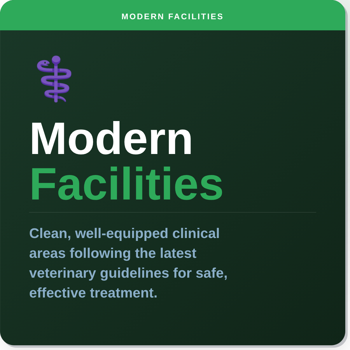 Modern veterinary facilities at Paws & Co Tingley - clean, well-equipped clinical areas following latest guidelines