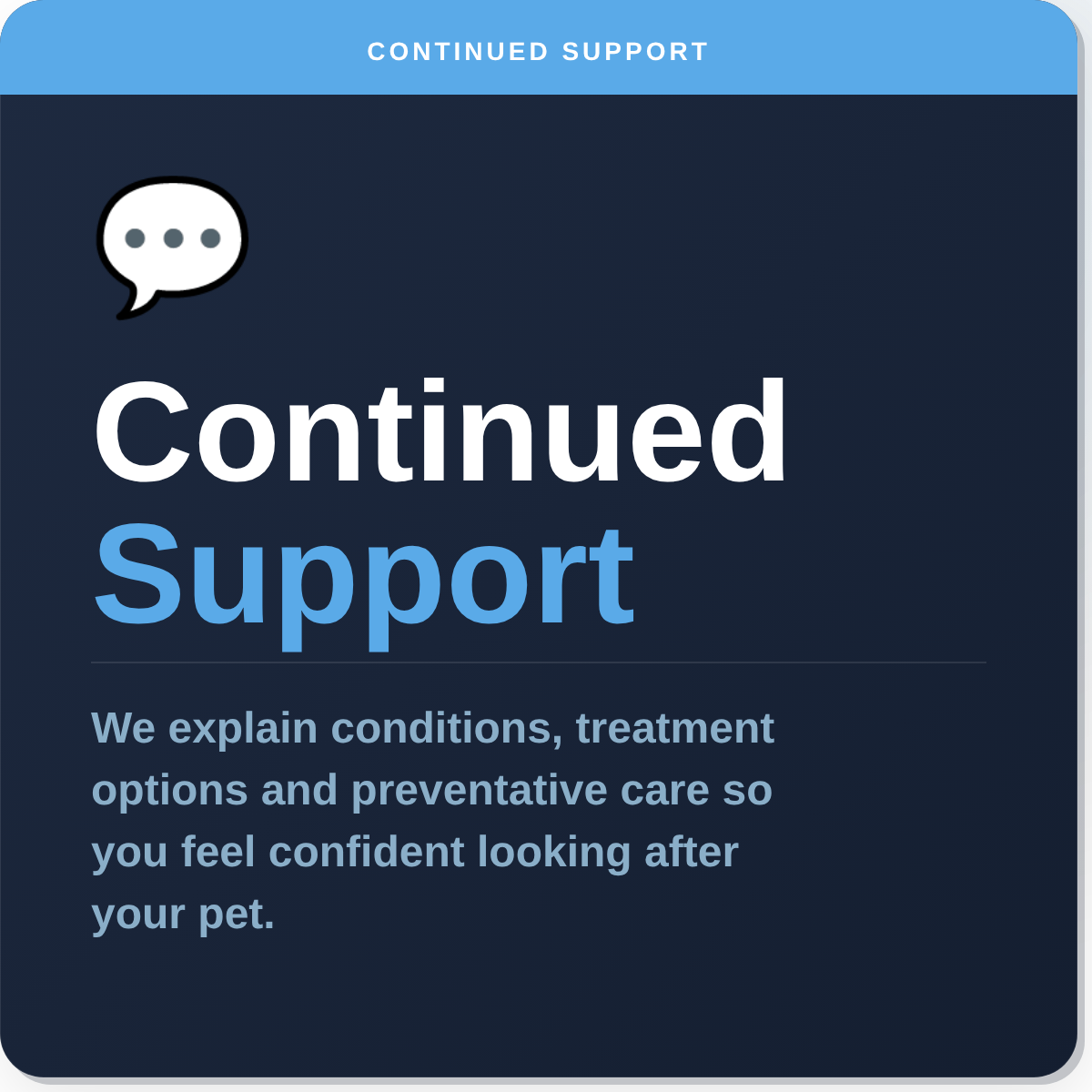 Continued pet health support at Paws & Co vets - treatment explanations and home care guidance included